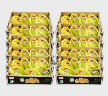 Bulk, Chaunsa Mango (Wholesale Rate)